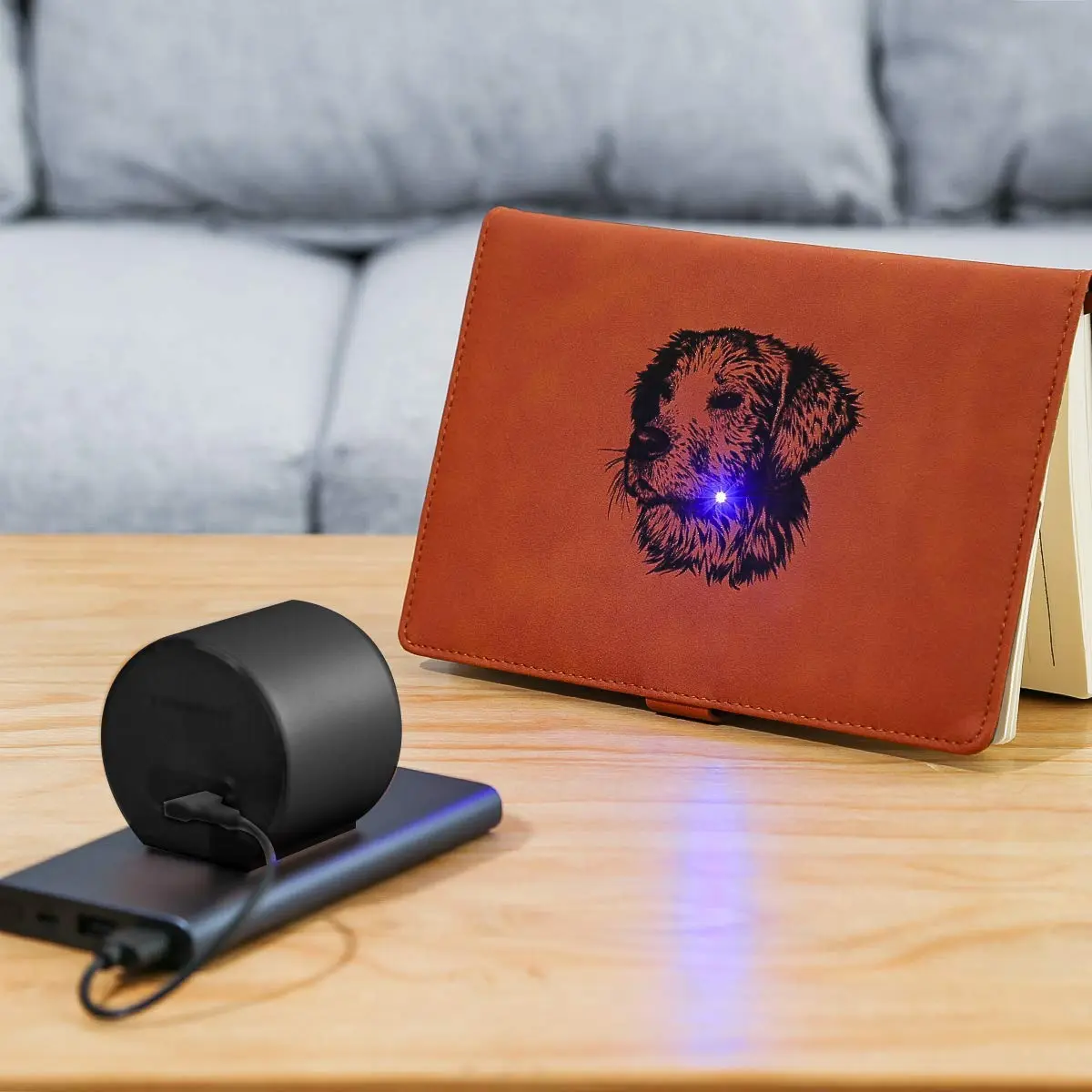 LaserPecker L1 Smart Laser Engraver App Control Overheat Shutdown Password Lock With Protective Goggles - Black 5 LaserPecker L1 Smart Laser Engraver App Control Overheat Shutdown Password Lock With Protective Goggles - Black - Image 3